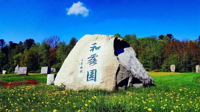 营救小猫头鹰