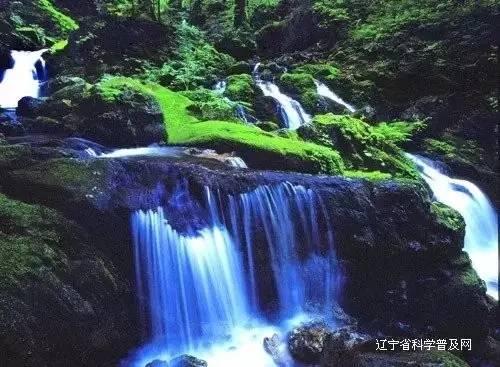 什么是创业，创业包括哪些？
